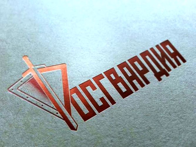 В Хабаровске росгвардейцы по горячим следам задержали подозреваемого в совершении грабежа