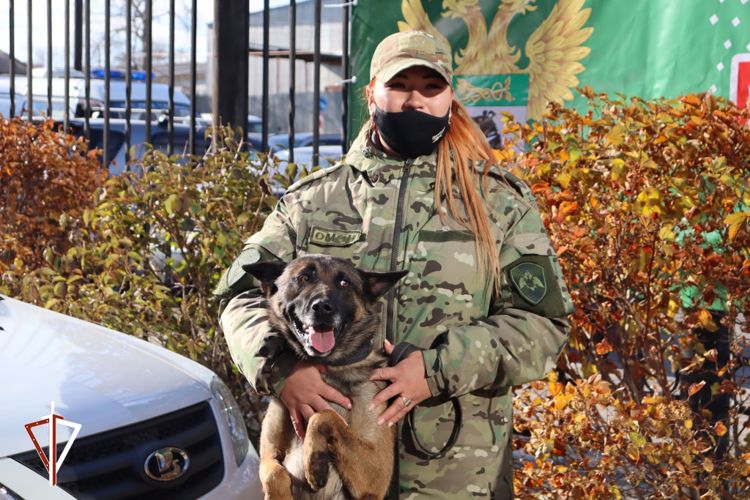 Кинологи Росгвардии стали лучшими на межведомственных соревнованиях в Хабаровске