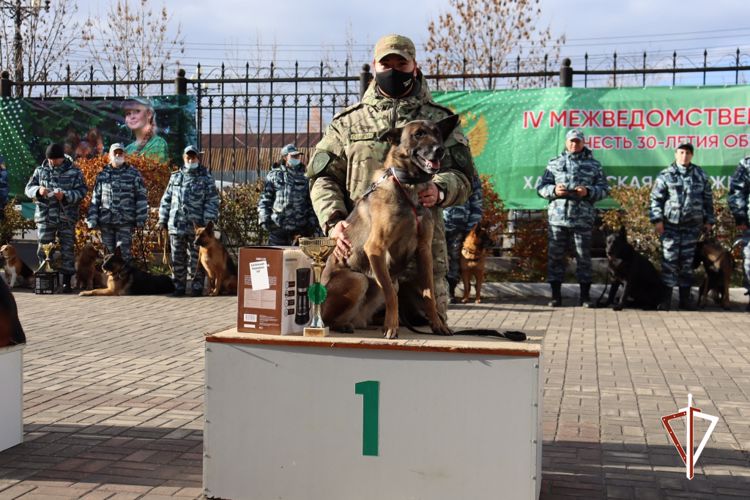 Кинологи Росгвардии стали лучшими на межведомственных соревнованиях в Хабаровске