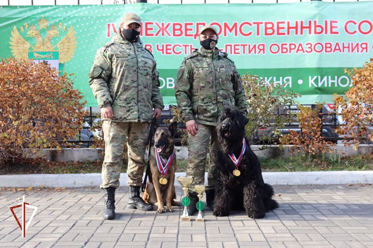 Кинологи Росгвардии стали лучшими на межведомственных соревнованиях в Хабаровске