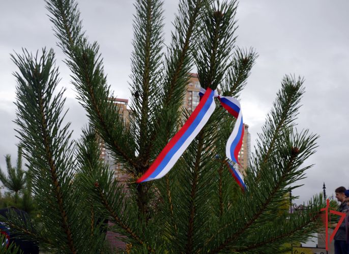 Аллея памяти и славы бойцам войск правопорядка заложена в Хабаровске в районе Арены «Ерофей» 
