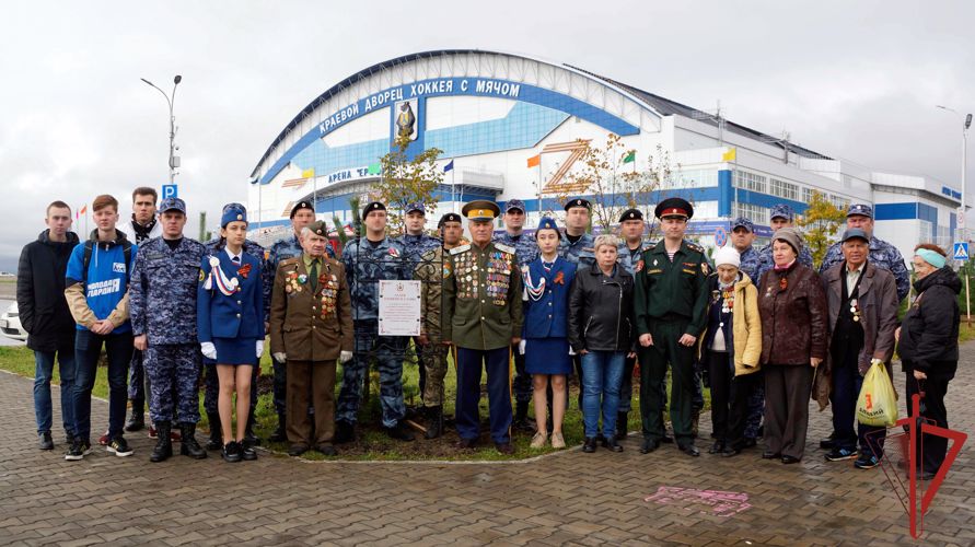 Аллея памяти и славы бойцам войск правопорядка заложена в Хабаровске в районе Арены «Ерофей» 