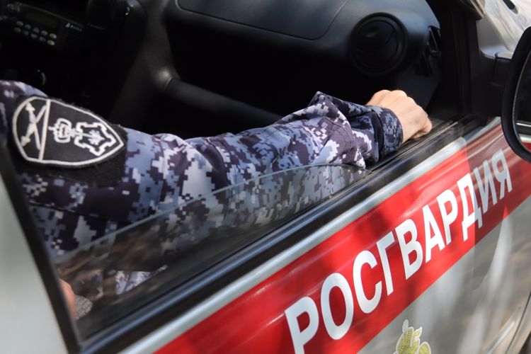 В Хабаровске сотрудники Росгвардии по горячим следам задержали подозреваемого в совершении уличного грабежа
