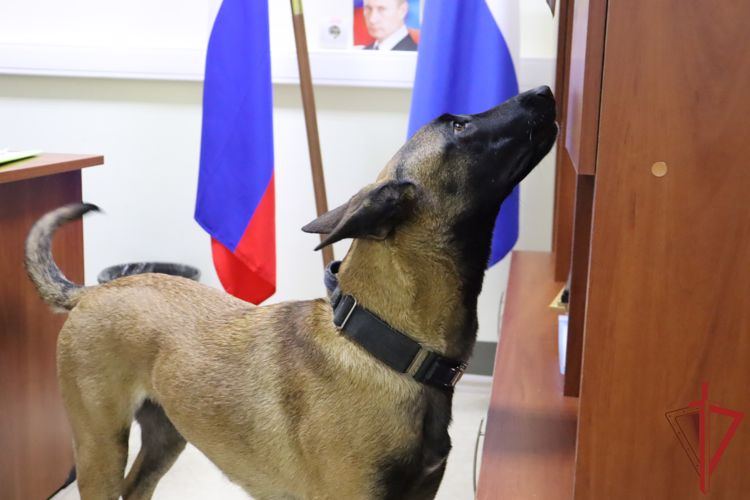 В Хабаровском крае сотрудники Росгвардии проверили безопасность более 370 избирательных участков