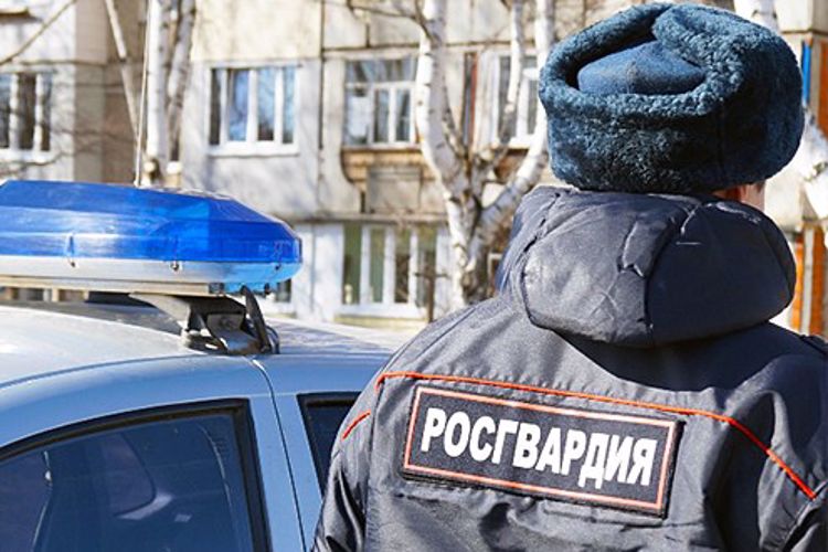В г. Советская Гавань сотрудники Росгвардии по горячим следам задержали подозреваемого в угоне автомобиля 
