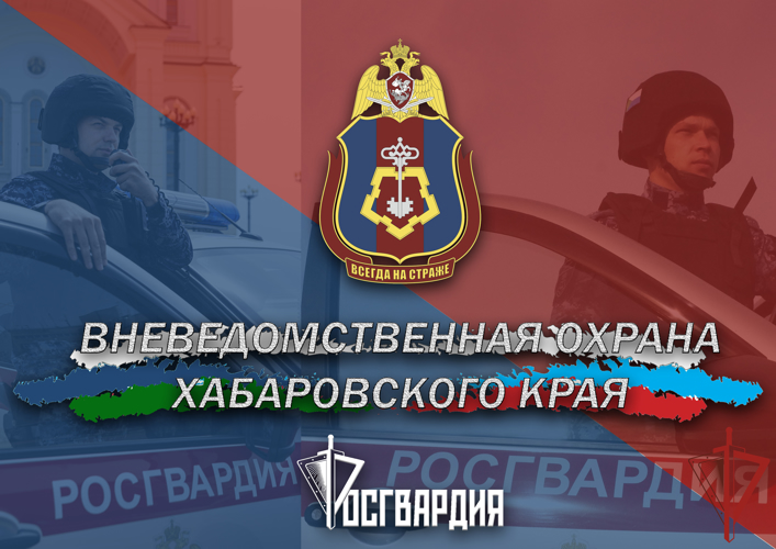   На минувшей неделе сотрудники Росгвардии более 240 раз выезжали по сигналу «Тревога»