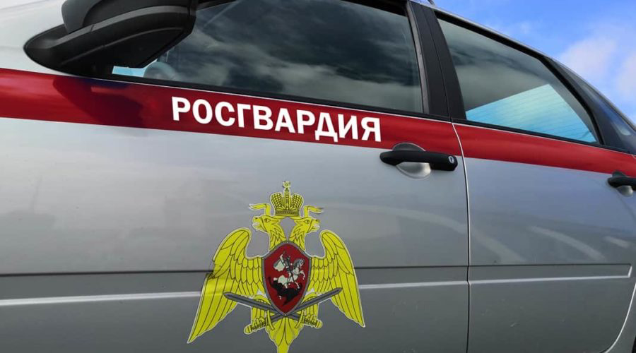 Более 30 граждан, подозреваемых в совершении правонарушений, задержано сотрудниками Росгвардии на минувшей неделе