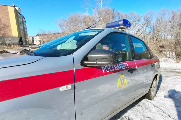 В Хабаровске росгвардейцы задержали граждан, подозреваемых в незаконном приобретении и хранении наркотических средств 