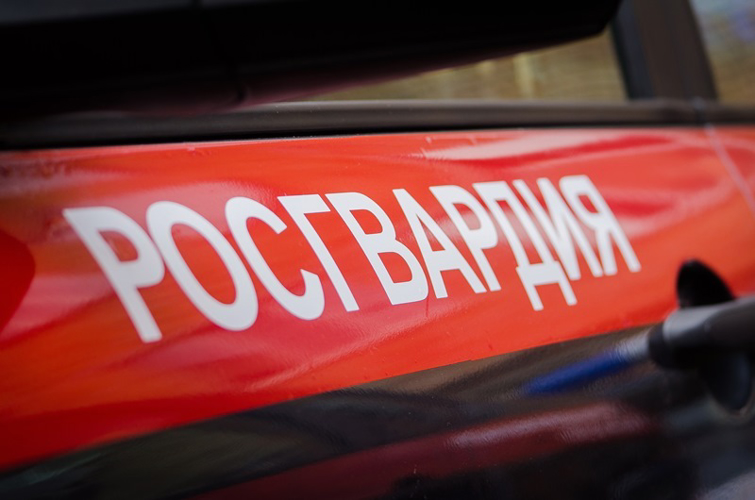  В Хабаровске сотрудники Росгвардии задержали мужчину, подозреваемого в совершении уличного грабежа