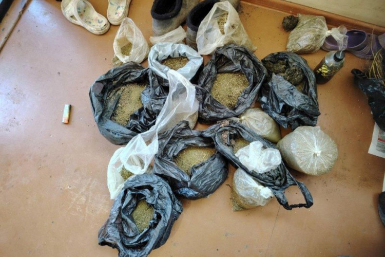 В Хабаровском крае сотрудники ОМОН Росгвардии задержали мужчину, подозреваемого в незаконном культивировании каннабиса