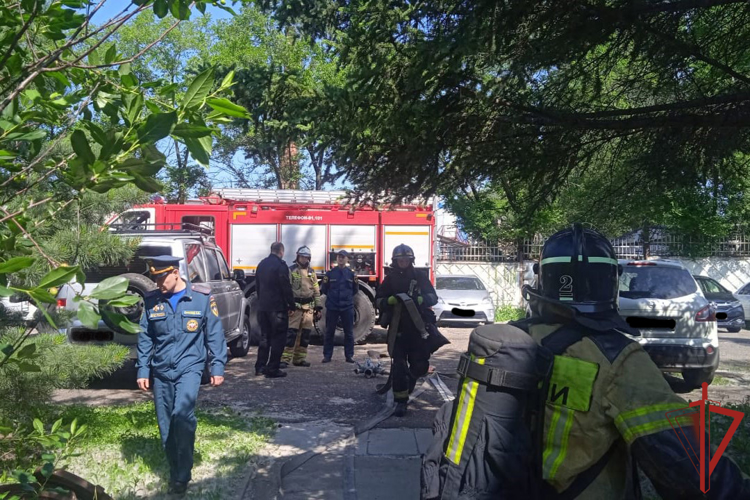 Совместная тренировка сотрудников СОБР Росгвардии и МЧС прошла в Хабаровске