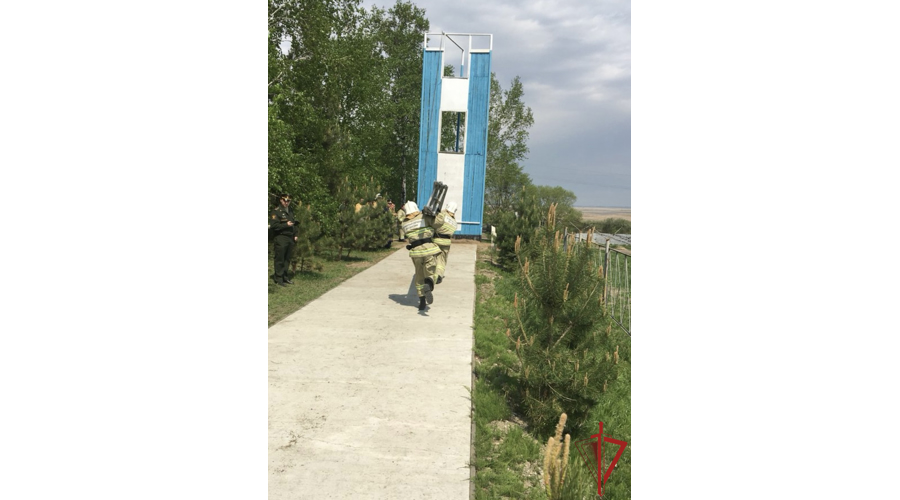 8-ю годовщину со дня образования отмечают специалисты ведомственной пожарной охраны Росгвардии 