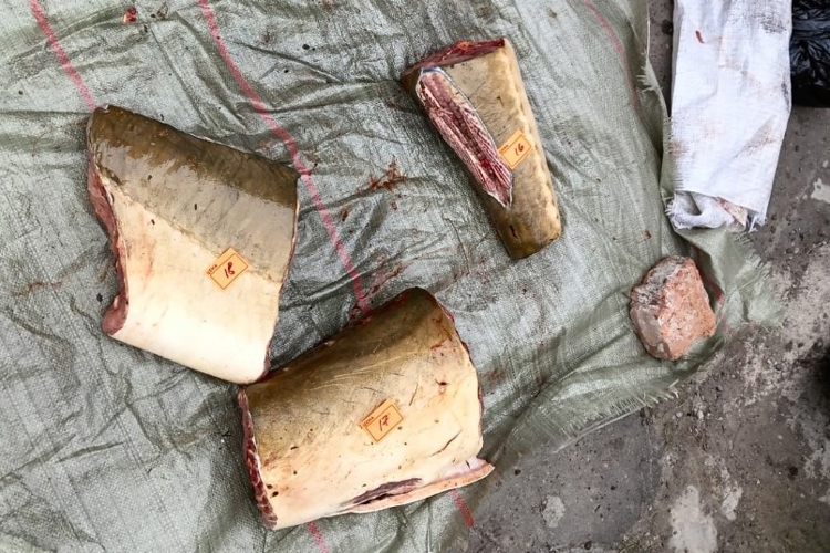 В Хабаровском крае завершён первый этап оперативно-профилактического мероприятия «Путина-2025»