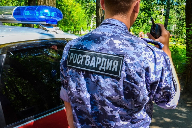 В Хабаровском крае росгвардейцы задержали мужчину, пытавшегося незаконно проникнуть в чужое жилище