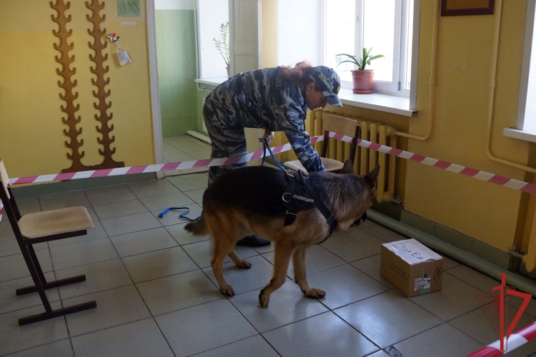Сотрудники Росгвардии Хабаровского края приняли участие во Всероссийских учениях на объектах образования