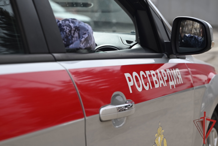 Более 240 раз выезжали по сигналу «Тревога» сотрудники вневедомственной охраны Росгвардии за прошедшую неделю