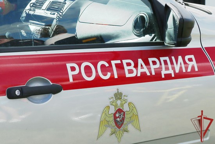 Росгвардейцы предотвратили мошеннические действия в отношении жителя Хабаровска