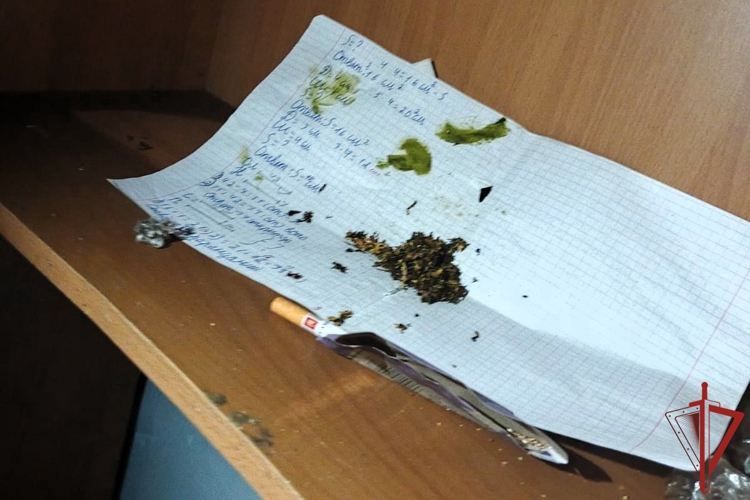 В районе им. Лазо Хабаровского края росгвардейцы задержали мужчину, подозреваемого в незаконном хранении наркотических средств 