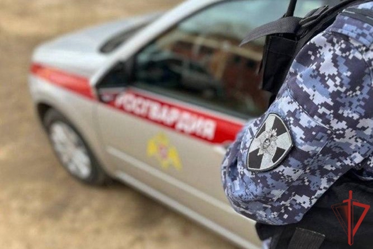 В Хабаровске сотрудники Росгвардии задержали нетрезвого водителя, совершившего ДТП