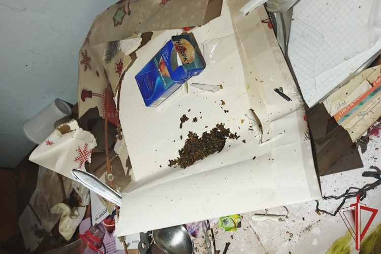 В районе им. Лазо Хабаровского края росгвардейцы задержали мужчину, подозреваемого в незаконном хранении наркотических средств 