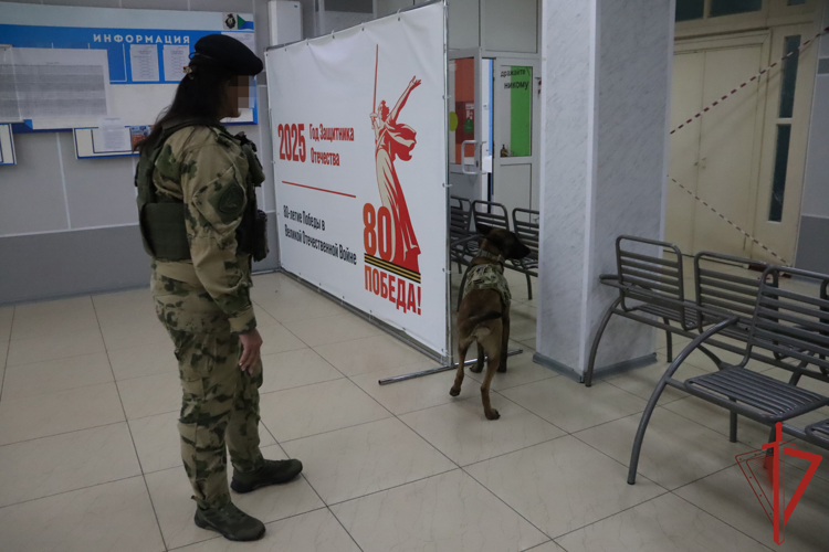 В преддверии Единого дня голосования росгвардейцы проверяют избирательные участки в Хабаровском крае