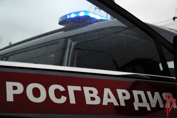В Хабаровске сотрудники Росгвардии задержали граждан, подозреваемых в незаконном хранении наркотических средств
