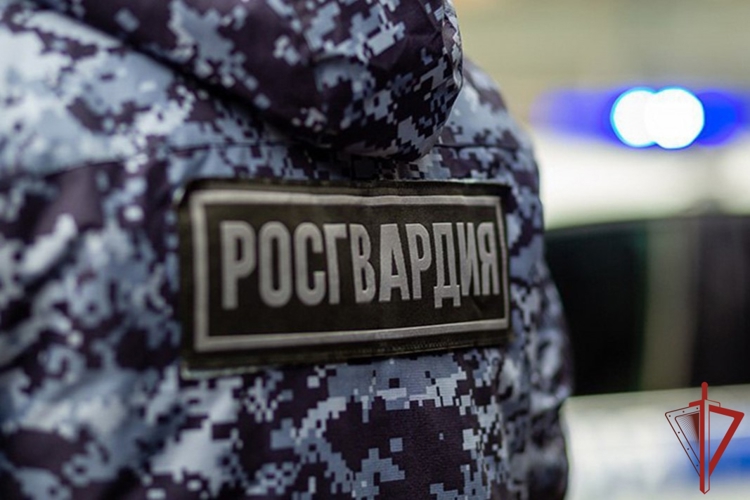 В пос. Эльбан сотрудники Росгвардии задержали молодого человека, подозреваемого в угоне автомобиля