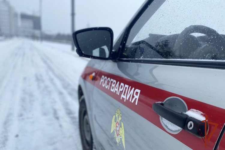Более 200 раз сотрудники вневедомственной охраны Росгвардии выезжали по сигналу «Тревога» на минувшей неделе