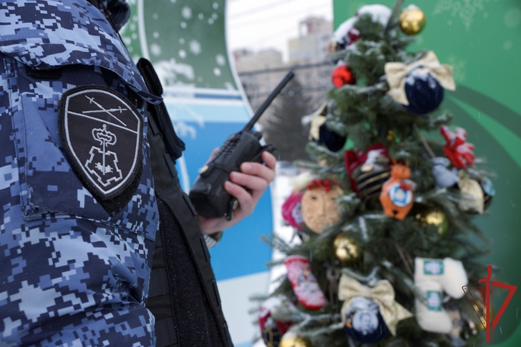 В Хабаровском крае сотрудники Росгвардии обеспечивают общественную безопасность в период новогодних праздников