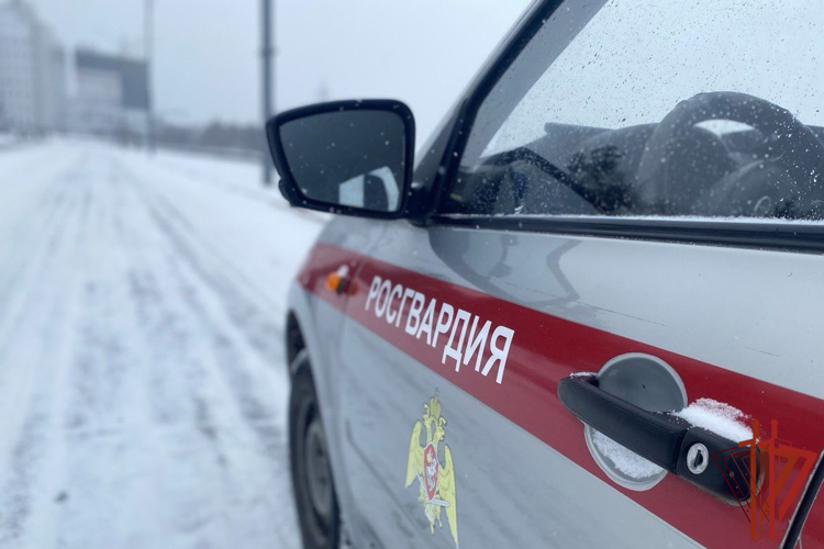 Более 260 раз сотрудники вневедомственной охраны Росгвардии выезжали по сигналу «Тревога» на минувшей неделе