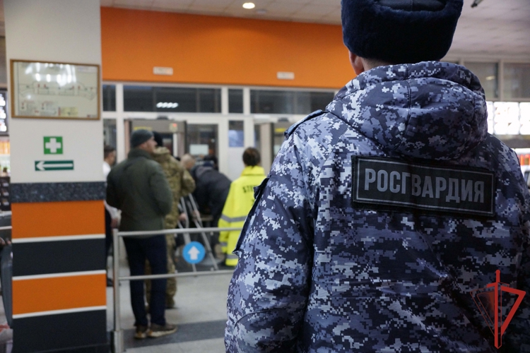 В Хабаровске Росгвардия обеспечила безопасность проведения матча Континентальной хоккейной лиги 
