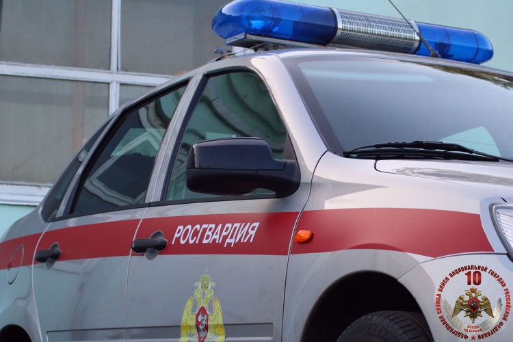 На прошлой неделе в Хабаровске сотрудники Росгвардии обеспечили охрану общественного порядка и безопасность граждан во время спортивных и культурных мероприятий 