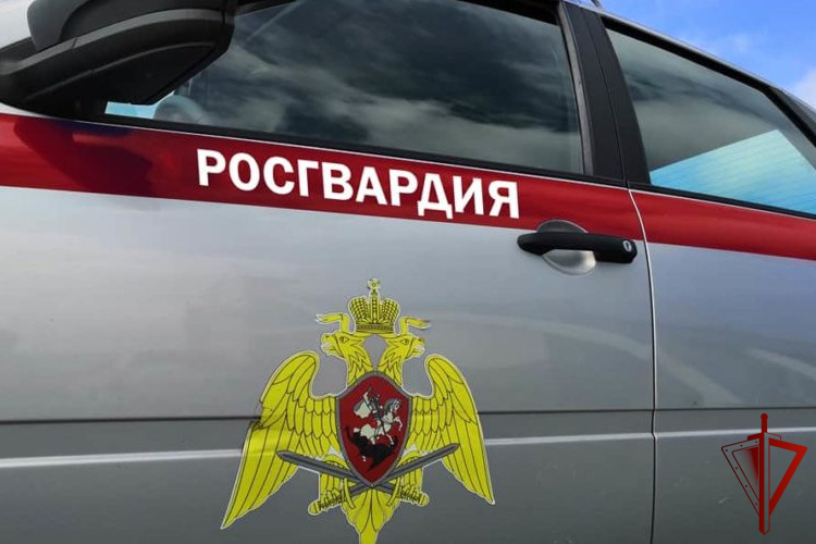 В г. Бикин сотрудники Росгвардии задержали гражданина, подозреваемого в незаконном хранении наркотических средств