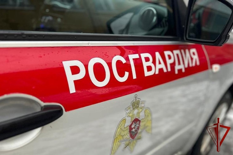 Управление Росгвардии по Хабаровскому краю подвело итоги работы за минувшую неделю