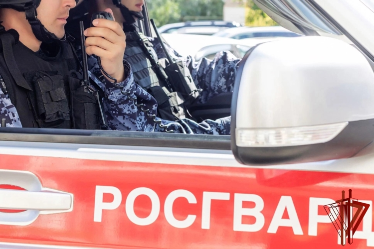 В Хабаровском крае росгвардейцы задержали виновника ДТП на угнанном автомобиле