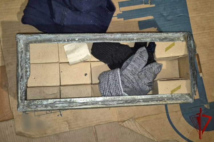 При силовой поддержке сотрудников ОМОН Росгвардии у жителя  Хабаровского края изъято из незаконного оборота более 370 боевых патронов 
