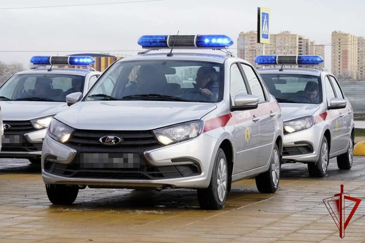 На прошлой неделе сотрудники Росгвардии более 250 раз выезжали по сигналам «Тревога», поступившим с охраняемых объектов