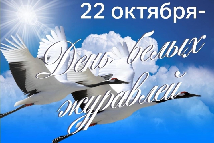 22 октября в России отмечается День белых журавлей 