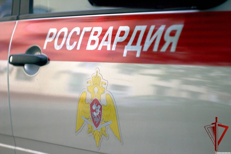 На прошлой неделе сотрудники Росгвардии 270 раз выезжали по сигналам «Тревога», поступившим с охраняемых объектов