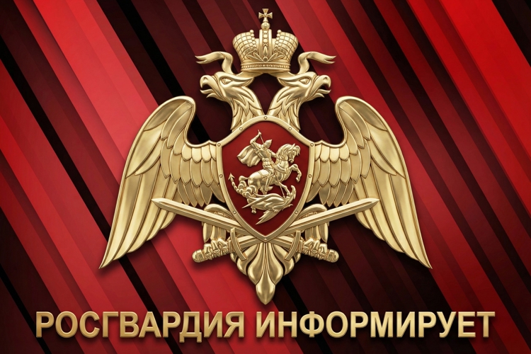 Справку о наличии оружия можно получить дистанционно через электронный сервис Росгвардии